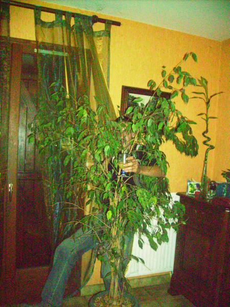 soir&eacute; &agrave; la maison